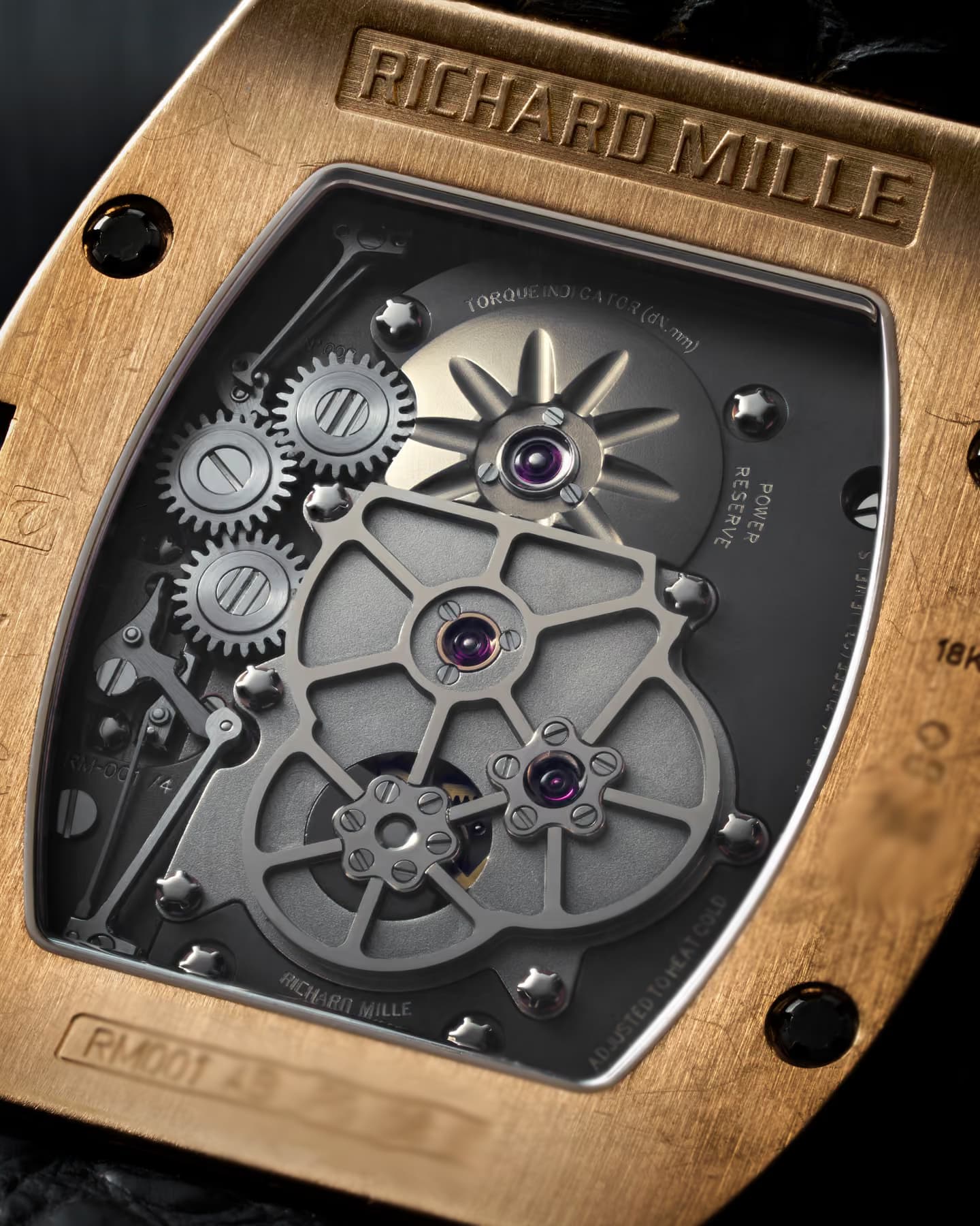 Case numbering on the Richard Mille RM 001